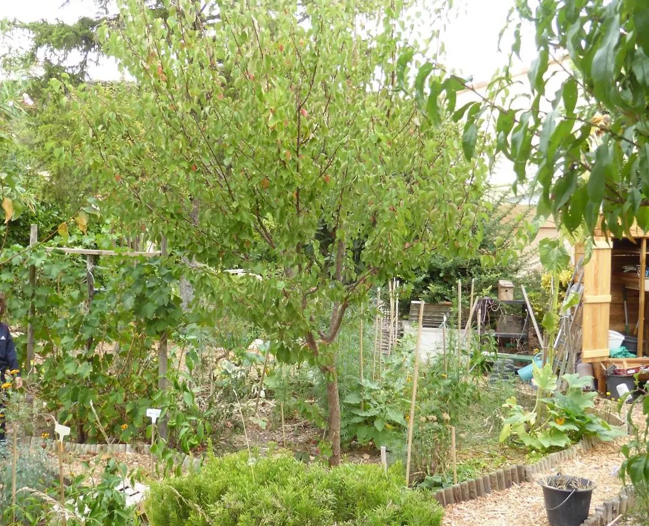 Bed and Breakfast Ecolieu La Pepiniere à Carnoux-en-Provence